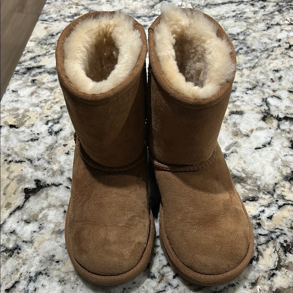 Ugg Sz11 Cozy Tan Boots